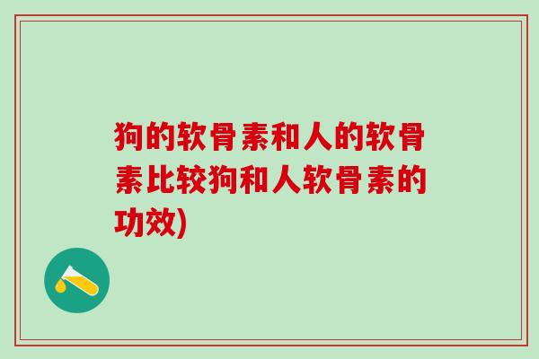狗的软骨素和人的软骨素比较狗和人软骨素的功效)-第1张图片-氨糖科普网