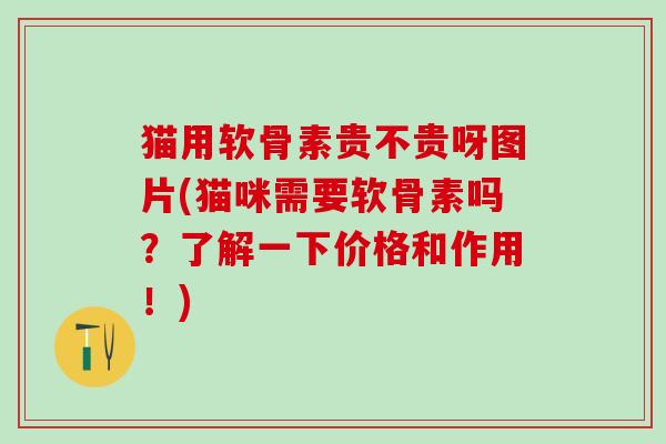 猫用软骨素贵不贵呀图片(猫咪需要软骨素吗?了解一下价格和作用!)-第1张图片-氨糖科普网 猫用软骨素贵不贵呀图片(猫咪需要软骨素吗?了解一下价格和作用!)-第1张图片-氨糖科普网