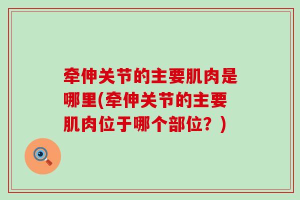 牵伸关节的主要肌肉是哪里(牵伸关节的主要肌肉位于哪个部位?)-第1张图片-氨糖科普网 牵伸关节的主要肌肉是哪里(牵伸关节的主要肌肉位于哪个部位?)-第1张图片-氨糖科普网