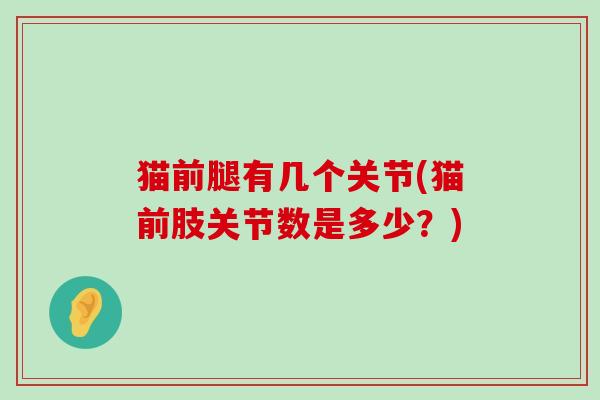 猫前腿有几个关节(猫前肢关节数是多少?)-第1张图片-氨糖科普网 猫前腿有几个关节(猫前肢关节数是多少?)-第1张图片-氨糖科普网