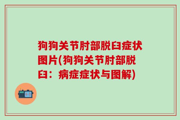 狗狗关节肘部脱臼症状图片(狗狗关节肘部脱臼:病症症状与图解)-第1张图片-氨糖科普网 狗狗关节肘部脱臼症状图片(狗狗关节肘部脱臼:病症症状与图解)-第1张图片-氨糖科普网