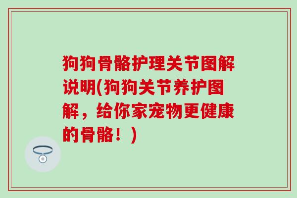 狗狗骨骼护理关节图解说明(狗狗关节养护图解,给你家宠物更健康的骨骼!)-第1张图片-氨糖科普网 狗狗骨骼护理关节图解说明(狗狗关节养护图解,给你家宠物更健康的骨骼!)-第1张图片-氨糖科普网