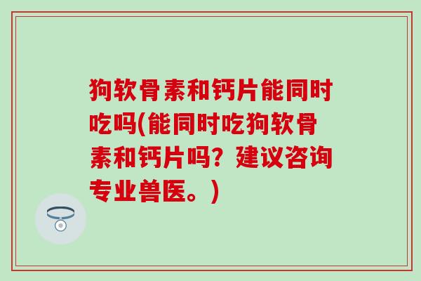 狗软骨素和钙片能同时吃吗(能同时吃狗软骨素和钙片吗?建议咨询专业兽医。)-第1张图片-氨糖科普网 狗软骨素和钙片能同时吃吗(能同时吃狗软骨素和钙片吗?建议咨询专业兽医。)-第1张图片-氨糖科普网