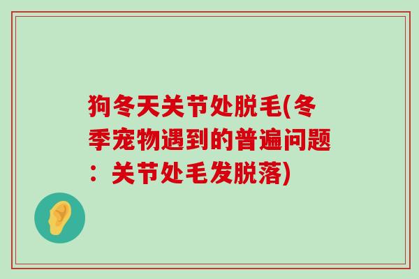 狗冬天关节处脱毛(冬季宠物遇到的普遍问题：关节处毛发脱落)-第1张图片-氨糖科普网