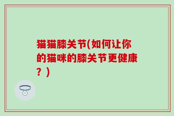 猫猫膝关节(如何让你的猫咪的膝关节更健康?)-第1张图片-氨糖科普网 猫猫膝关节(如何让你的猫咪的膝关节更健康?)-第1张图片-氨糖科普网