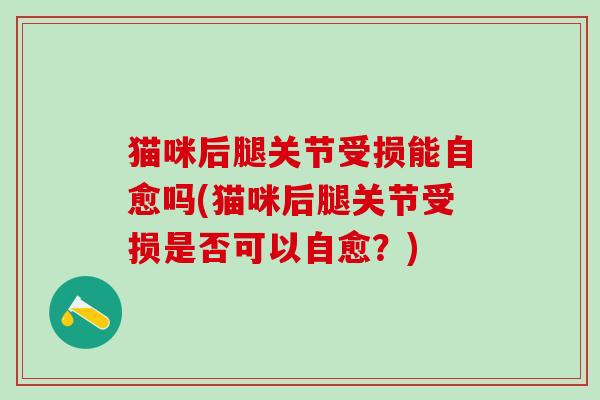 猫咪后腿关节受损能自愈吗(猫咪后腿关节受损是否可以自愈?)-第1张图片-氨糖科普网 猫咪后腿关节受损能自愈吗(猫咪后腿关节受损是否可以自愈?)-第1张图片-氨糖科普网