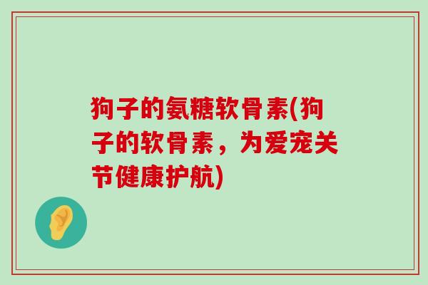 狗子的氨糖软骨素(狗子的软骨素,为爱宠关节健康护航)-第1张图片-氨糖科普网 狗子的氨糖软骨素(狗子的软骨素,为爱宠关节健康护航)-第1张图片-氨糖科普网
