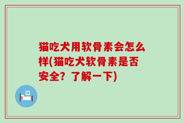 猫吃犬用软骨素会怎么样(猫吃犬软骨素是否安全?了解一下)-第1张图片-氨糖科普网 猫吃犬用软骨素会怎么样(猫吃犬软骨素是否安全?了解一下)-第1张图片-氨糖科普网