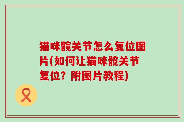 猫咪髋关节怎么复位图片(如何让猫咪髋关节复位?附图片教程)-第1张图片-氨糖科普网 猫咪髋关节怎么复位图片(如何让猫咪髋关节复位?附图片教程)-第1张图片-氨糖科普网