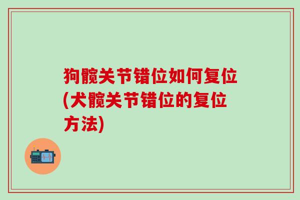 狗髋关节错位如何复位(犬髋关节错位的复位方法)-第1张图片-氨糖科普网 狗髋关节错位如何复位(犬髋关节错位的复位方法)-第1张图片-氨糖科普网
