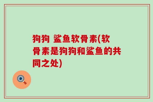 狗狗 鲨鱼软骨素(软骨素是狗狗和鲨鱼的共同之处)-第1张图片-氨糖科普网 狗狗 鲨鱼软骨素(软骨素是狗狗和鲨鱼的共同之处)-第1张图片-氨糖科普网