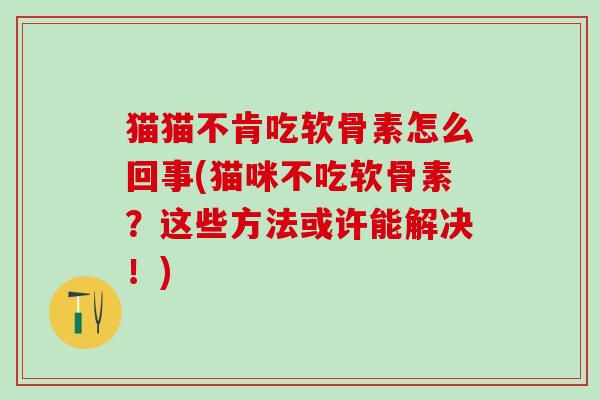 猫猫不肯吃软骨素怎么回事(猫咪不吃软骨素?这些方法或许能解决!)-第1张图片-氨糖科普网 猫猫不肯吃软骨素怎么回事(猫咪不吃软骨素?这些方法或许能解决!)-第1张图片-氨糖科普网