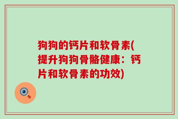 狗狗的钙片和软骨素(提升狗狗骨骼健康:钙片和软骨素的功效)-第1张图片-氨糖科普网 狗狗的钙片和软骨素(提升狗狗骨骼健康:钙片和软骨素的功效)-第1张图片-氨糖科普网