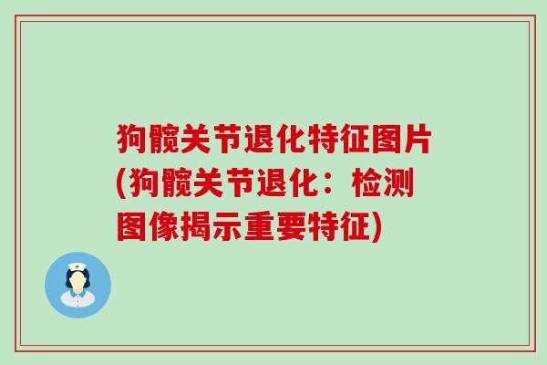 狗髋关节退化特征图片(狗髋关节退化：检测图像揭示重要特征)-第1张图片-氨糖科普网