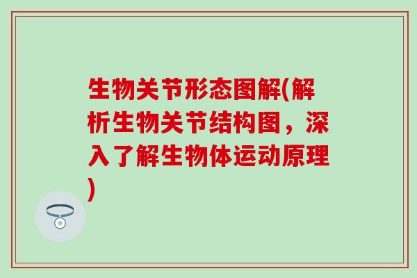 生物关节形态图解(解析生物关节结构图,深入了解生物体运动原理)-第1张图片-氨糖科普网 生物关节形态图解(解析生物关节结构图,深入了解生物体运动原理)-第1张图片-氨糖科普网