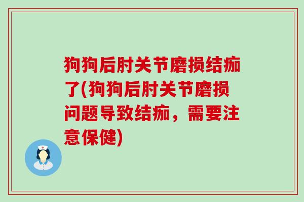 狗狗后肘关节磨损结痂了(狗狗后肘关节磨损问题导致结痂，需要注意保健)-第1张图片-氨糖科普网