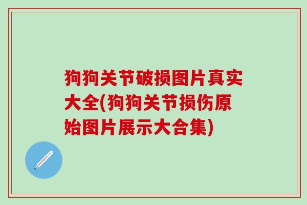 狗狗关节破损图片真实大全(狗狗关节损伤原始图片展示大合集)-第1张图片-氨糖科普网 狗狗关节破损图片真实大全(狗狗关节损伤原始图片展示大合集)-第1张图片-氨糖科普网