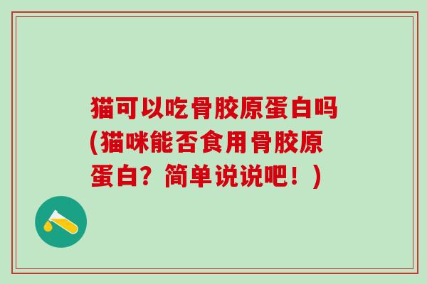 猫可以吃骨胶原蛋白吗(猫咪能否食用骨胶原蛋白？简单说说吧！)-第1张图片-氨糖科普网