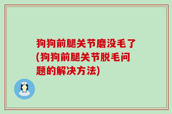 狗狗前腿关节磨没毛了(狗狗前腿关节脱毛问题的解决方法)-第1张图片-氨糖科普网 狗狗前腿关节磨没毛了(狗狗前腿关节脱毛问题的解决方法)-第1张图片-氨糖科普网
