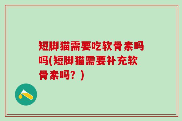 短脚猫需要吃软骨素吗吗(短脚猫需要补充软骨素吗?)-第1张图片-氨糖科普网 短脚猫需要吃软骨素吗吗(短脚猫需要补充软骨素吗?)-第1张图片-氨糖科普网