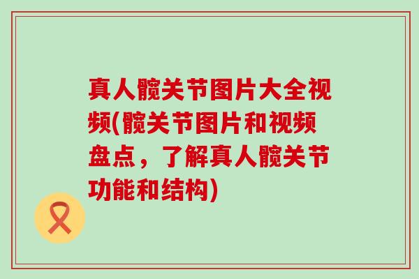 真人髋关节图片大全视频(髋关节图片和视频盘点,了解真人髋关节功能和结构)-第1张图片-氨糖科普网 真人髋关节图片大全视频(髋关节图片和视频盘点,了解真人髋关节功能和结构)-第1张图片-氨糖科普网