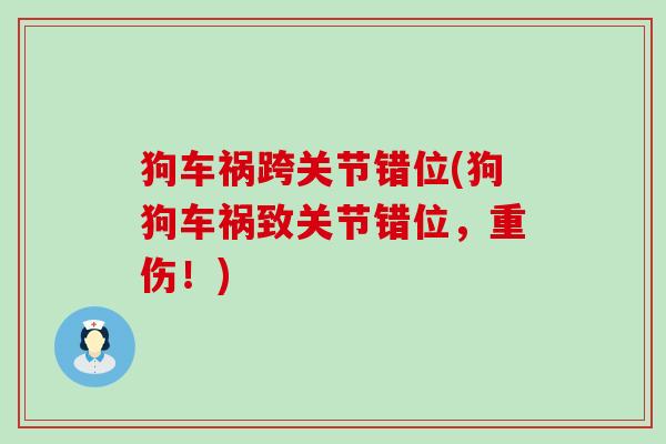 狗车祸跨关节错位(狗狗车祸致关节错位,重伤!)-第1张图片-氨糖科普网 狗车祸跨关节错位(狗狗车祸致关节错位,重伤!)-第1张图片-氨糖科普网
