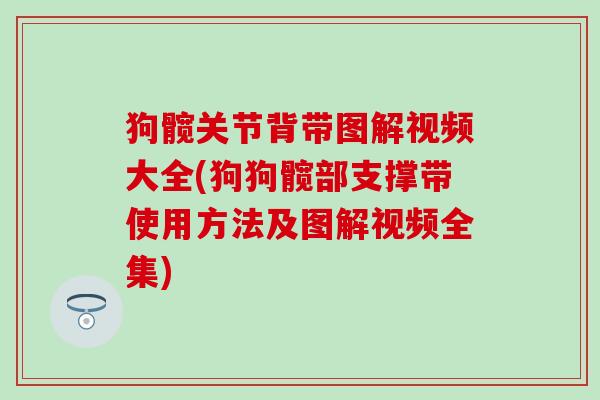 狗髋关节背带图解视频大全(狗狗髋部支撑带使用方法及图解视频全集)-第1张图片-氨糖科普网 狗髋关节背带图解视频大全(狗狗髋部支撑带使用方法及图解视频全集)-第1张图片-氨糖科普网