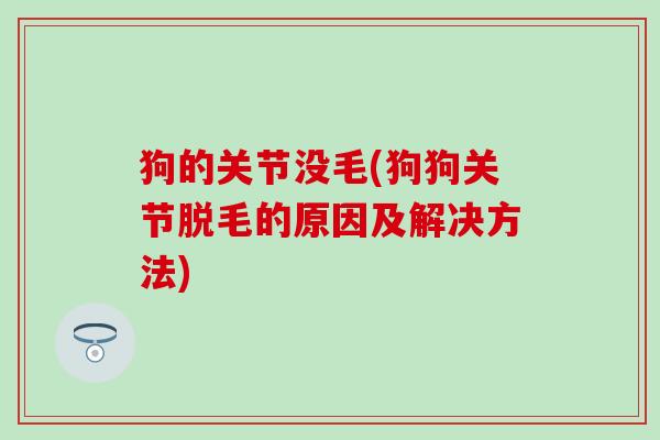 狗的关节没毛(狗狗关节脱毛的原因及解决方法)-第1张图片-氨糖科普网 狗的关节没毛(狗狗关节脱毛的原因及解决方法)-第1张图片-氨糖科普网