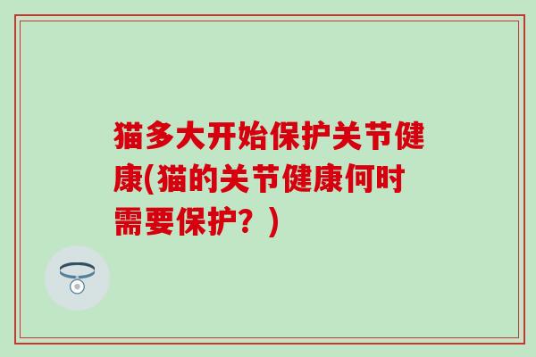 猫多大开始保护关节健康(猫的关节健康何时需要保护?)-第1张图片-氨糖科普网 猫多大开始保护关节健康(猫的关节健康何时需要保护?)-第1张图片-氨糖科普网
