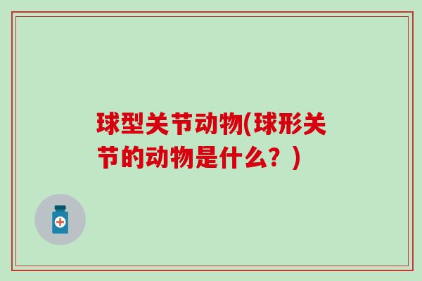 球型关节动物(球形关节的动物是什么?)-第1张图片-氨糖科普网 球型关节动物(球形关节的动物是什么?)-第1张图片-氨糖科普网