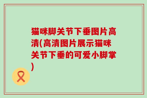 猫咪脚关节下垂图片高清(高清图片展示猫咪关节下垂的可爱小脚掌)-第1张图片-氨糖科普网 猫咪脚关节下垂图片高清(高清图片展示猫咪关节下垂的可爱小脚掌)-第1张图片-氨糖科普网