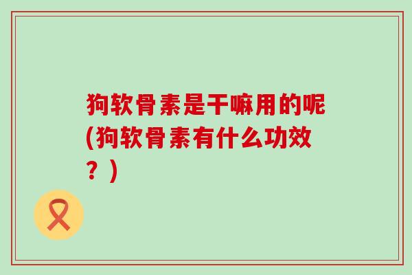 狗软骨素是干嘛用的呢(狗软骨素有什么功效?)-第1张图片-氨糖科普网 狗软骨素是干嘛用的呢(狗软骨素有什么功效?)-第1张图片-氨糖科普网