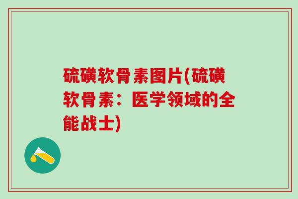 硫磺软骨素图片(硫磺软骨素:医学领域的全能战士)-第1张图片-氨糖科普网 硫磺软骨素图片(硫磺软骨素:医学领域的全能战士)-第1张图片-氨糖科普网