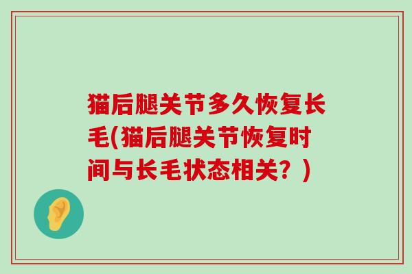 猫后腿关节多久恢复长毛(猫后腿关节恢复时间与长毛状态相关？)-第1张图片-氨糖科普网