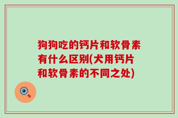 狗狗吃的钙片和软骨素有什么区别(犬用钙片和软骨素的不同之处)-第1张图片-氨糖科普网 狗狗吃的钙片和软骨素有什么区别(犬用钙片和软骨素的不同之处)-第1张图片-氨糖科普网