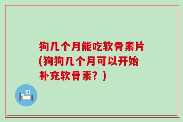 狗几个月能吃软骨素片(狗狗几个月可以开始补充软骨素？)-第1张图片-氨糖科普网