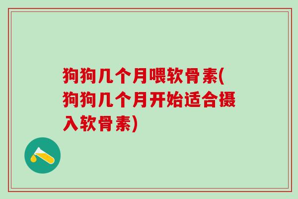 狗狗几个月喂软骨素(狗狗几个月开始适合摄入软骨素)-第1张图片-氨糖科普网 狗狗几个月喂软骨素(狗狗几个月开始适合摄入软骨素)-第1张图片-氨糖科普网