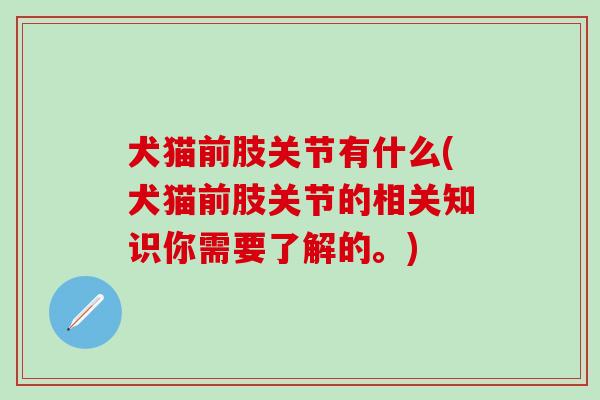 犬猫前肢关节有什么(犬猫前肢关节的相关知识你需要了解的。)-第1张图片-氨糖科普网