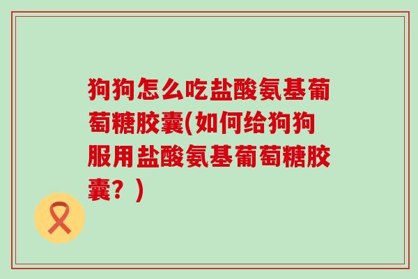 狗狗怎么吃盐酸氨基葡萄糖胶囊(如何给狗狗服用盐酸氨基葡萄糖胶囊?)-第1张图片-氨糖科普网 狗狗怎么吃盐酸氨基葡萄糖胶囊(如何给狗狗服用盐酸氨基葡萄糖胶囊?)-第1张图片-氨糖科普网