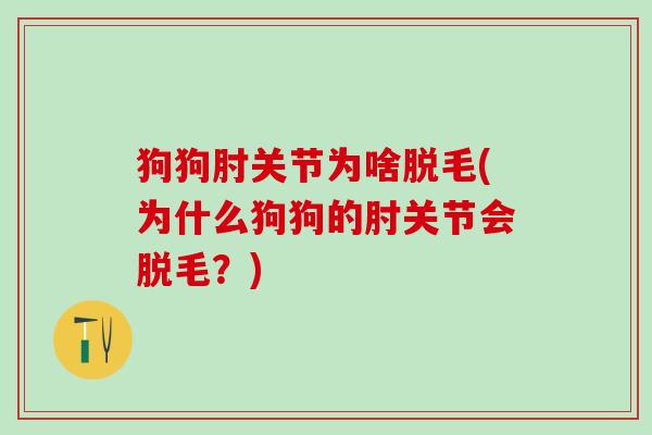 狗狗肘关节为啥脱毛(为什么狗狗的肘关节会脱毛？)-第1张图片-氨糖科普网