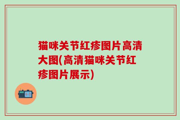 猫咪关节红疹图片高清大图(高清猫咪关节红疹图片展示)-第1张图片-氨糖科普网 猫咪关节红疹图片高清大图(高清猫咪关节红疹图片展示)-第1张图片-氨糖科普网