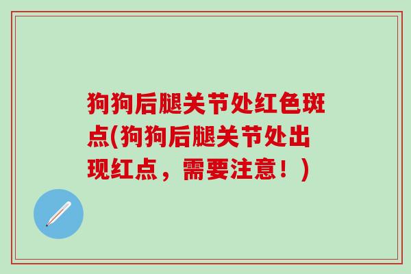 狗狗后腿关节处红色斑点(狗狗后腿关节处出现红点,需要注意!)-第1张图片-氨糖科普网 狗狗后腿关节处红色斑点(狗狗后腿关节处出现红点,需要注意!)-第1张图片-氨糖科普网