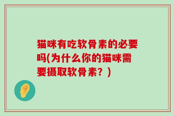 猫咪有吃软骨素的必要吗(为什么你的猫咪需要摄取软骨素?)-第1张图片-氨糖科普网 猫咪有吃软骨素的必要吗(为什么你的猫咪需要摄取软骨素?)-第1张图片-氨糖科普网