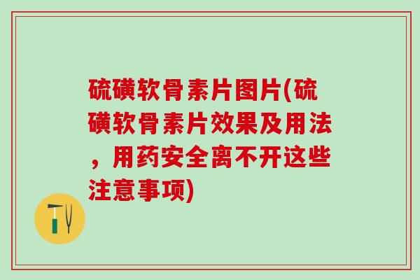 硫磺软骨素片图片(硫磺软骨素片效果及用法,用药安全离不开这些注意事项)-第1张图片-氨糖科普网 硫磺软骨素片图片(硫磺软骨素片效果及用法,用药安全离不开这些注意事项)-第1张图片-氨糖科普网