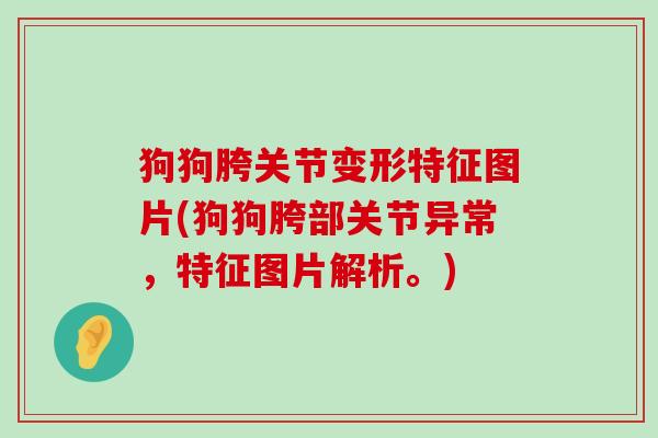 狗狗胯关节变形特征图片(狗狗胯部关节异常,特征图片解析。)-第1张图片-氨糖科普网 狗狗胯关节变形特征图片(狗狗胯部关节异常,特征图片解析。)-第1张图片-氨糖科普网