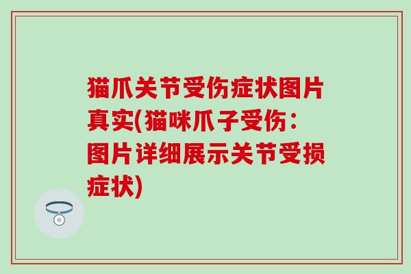 猫爪关节受伤症状图片真实(猫咪爪子受伤：图片详细展示关节受损症状)-第1张图片-氨糖科普网