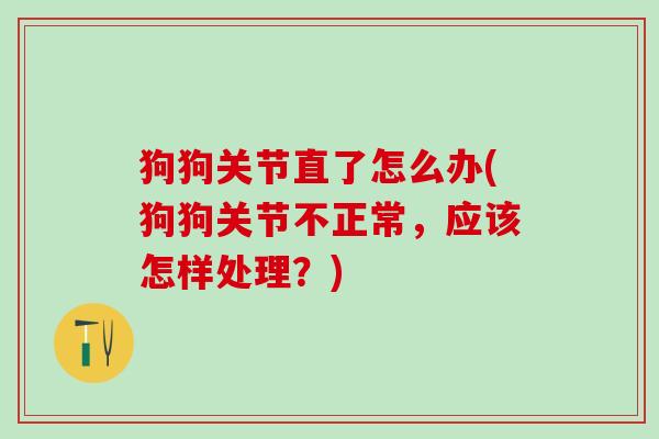 狗狗关节直了怎么办(狗狗关节不正常，应该怎样处理？)-第1张图片-氨糖科普网