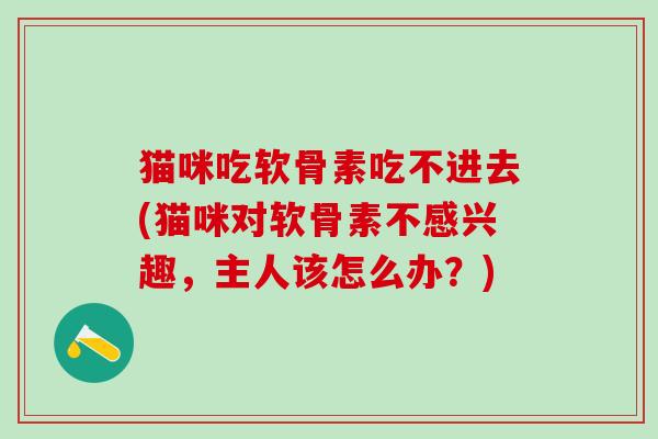 猫咪吃软骨素吃不进去(猫咪对软骨素不感兴趣,主人该怎么办?)-第1张图片-氨糖科普网 猫咪吃软骨素吃不进去(猫咪对软骨素不感兴趣,主人该怎么办?)-第1张图片-氨糖科普网