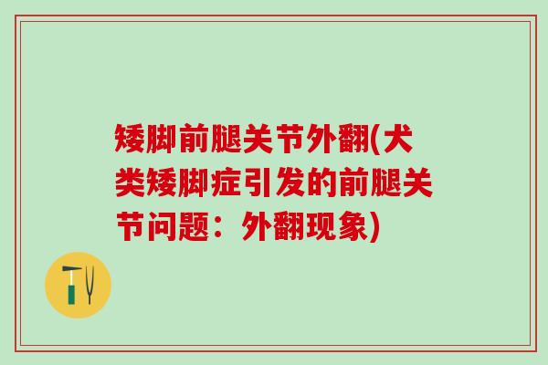 矮脚前腿关节外翻(犬类矮脚症引发的前腿关节问题:外翻现象)-第1张图片-氨糖科普网 矮脚前腿关节外翻(犬类矮脚症引发的前腿关节问题:外翻现象)-第1张图片-氨糖科普网