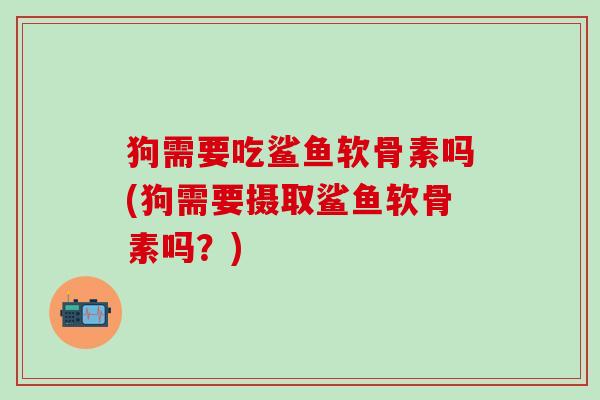 狗需要吃鲨鱼软骨素吗(狗需要摄取鲨鱼软骨素吗？)-第1张图片-氨糖科普网
